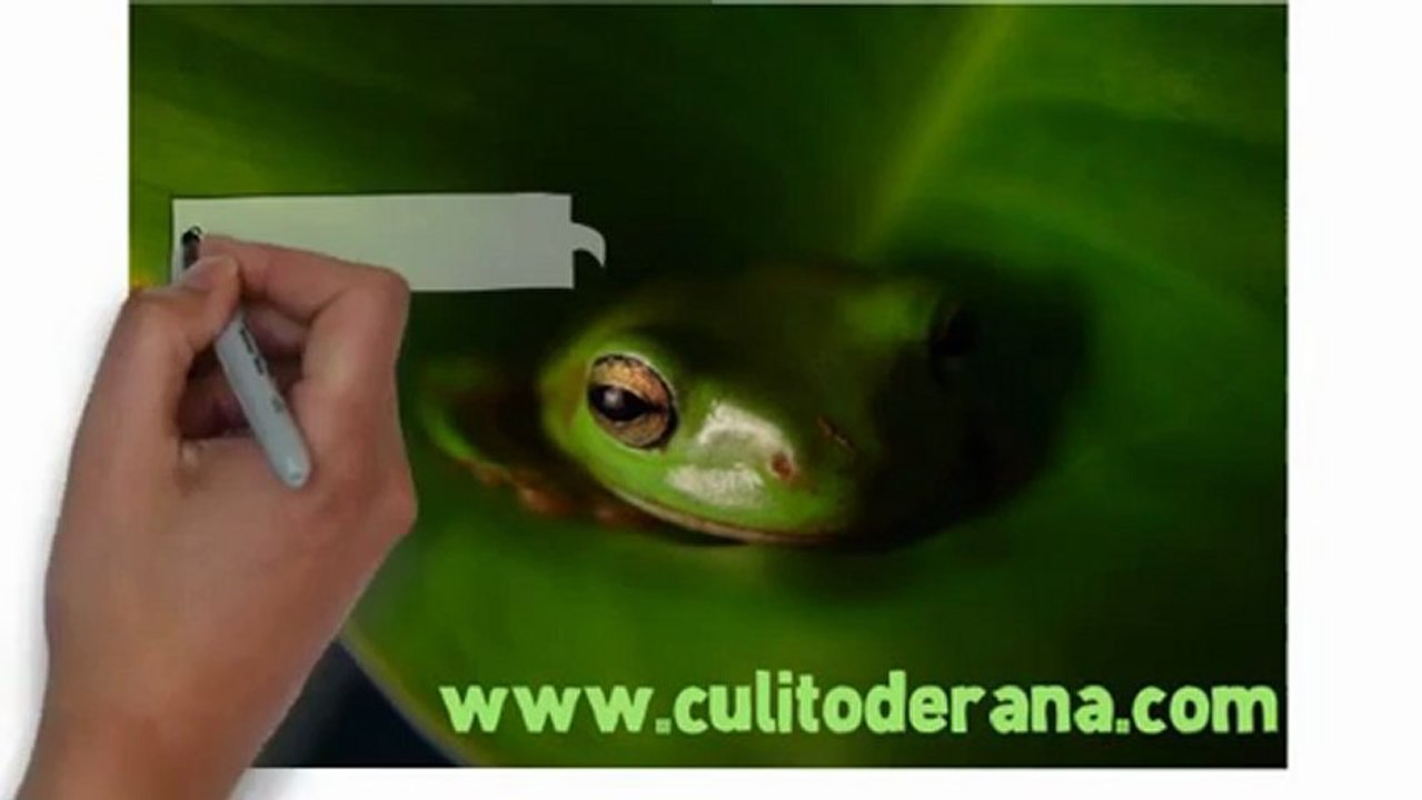 Culito de rana si no sana hoy sana manana