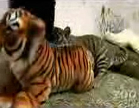 에이플러스카지노┳┳〓〓【GmC421·COM 】〓〓┳┳에이플러스바카라