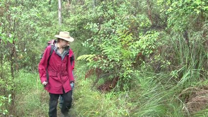 Green shoots in Australia's bush tucker boom