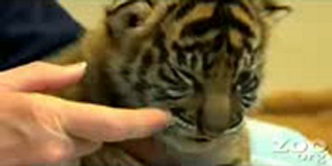 명품카지노▤▤▥▥【GmC421·COM 】▥▥▤▤하나카지노