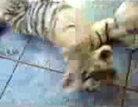 우리카지노▤▤▥▥【GmC421·COM 】▥▥▤▤우리바카라