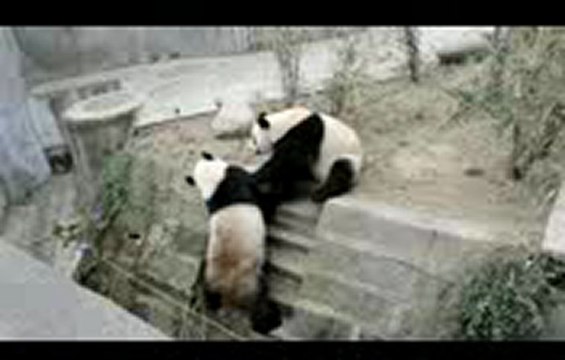 바카라싸이트┳┳〓〓【GmC421·COM 】〓〓┳┳카지노싸이트