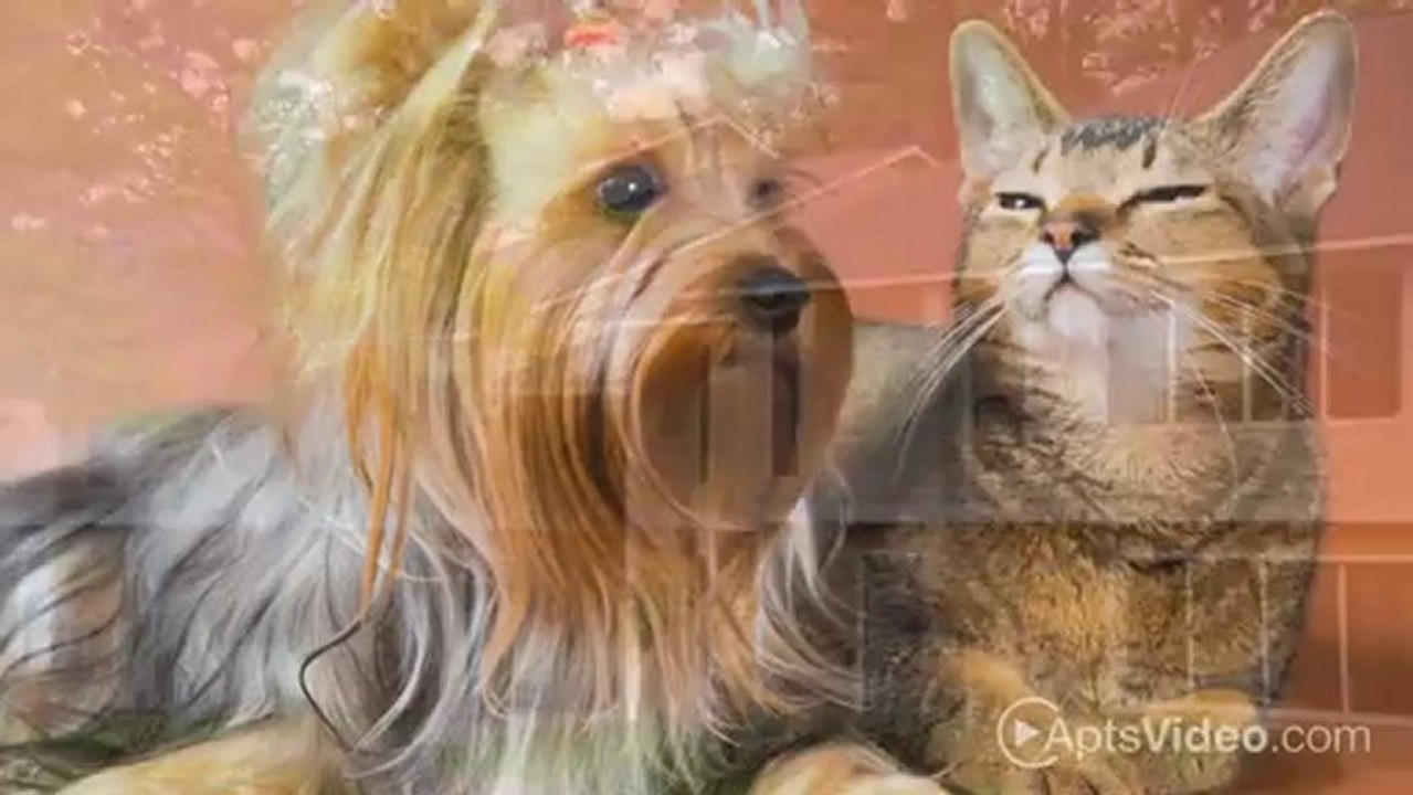 Marquis Estates Apartments in Norcross, GA - ForRent.com