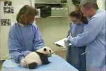 스카이카지노▤▤▥▥【GmC421·COM 】▥▥▤▤애플카지노