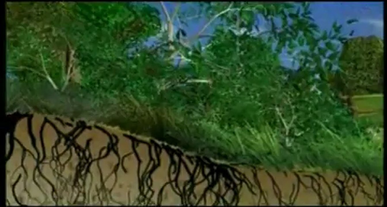 La gestion de l'eau en France