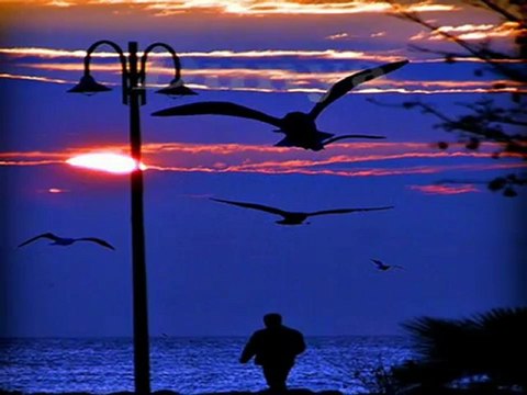 Taner Ozdemir Birdaha Yuzunu Gormem Haberin Olsun Gulom