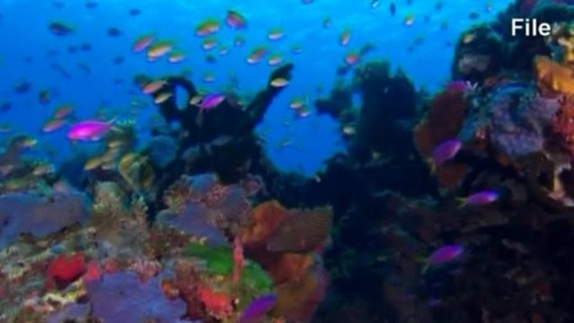 Australian government pledges to protect Great Barrier Reef