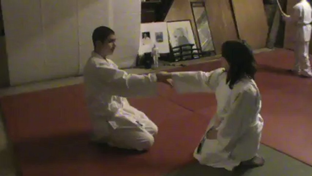 Bunkai suwari waza jodan kosa dori : irimi kihon