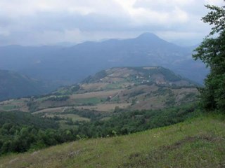 musa eroğlu-hozalı gelin