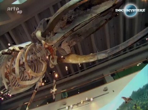 Le Mégalodon, la terreur des mers préhistorique