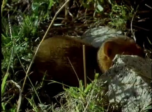 La vida a prueba (09) Amigos y rivales