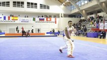 Open de France de Wushu Sportif 2012 / Jonathan Millien - nanquan masculin seniors