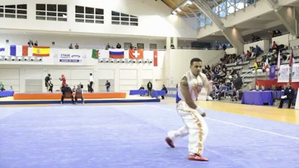 Open de France de Wushu Sportif 2012 / Jonathan Millien - nanquan masculin seniors