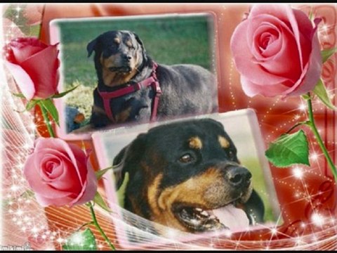 mon gros bb décédé suite a un examen raté_0001