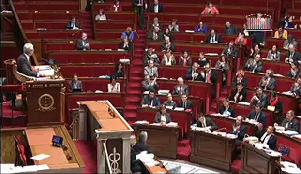 Réponse de Dominique Bertinotti lors de l'examen des amendements : Débat mariage et adoption pour tous - 1er février 2013