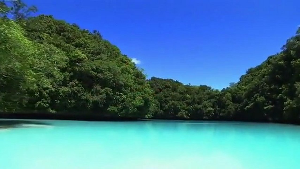 Wonderful Chill Out Music - Dolphins