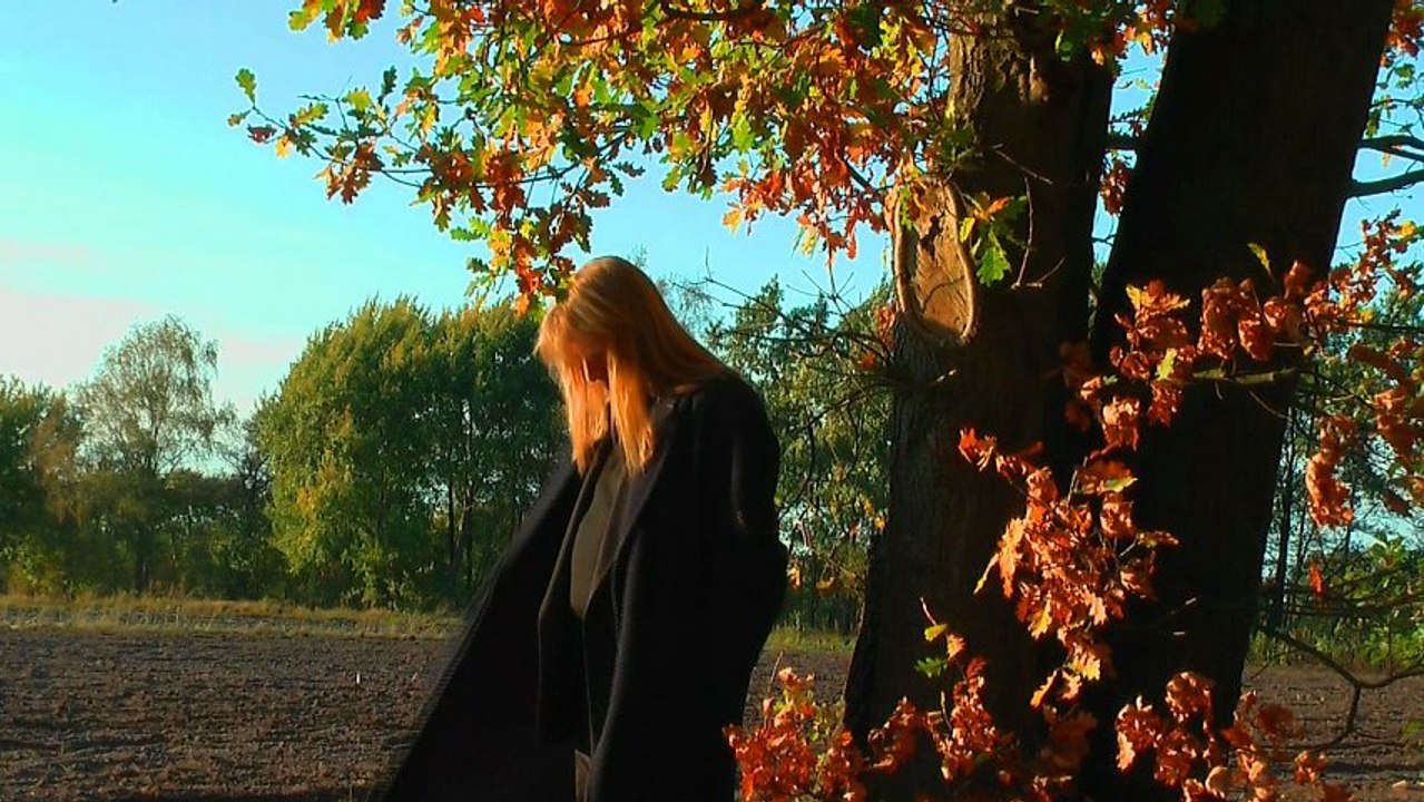 Last Colors of the Autumn