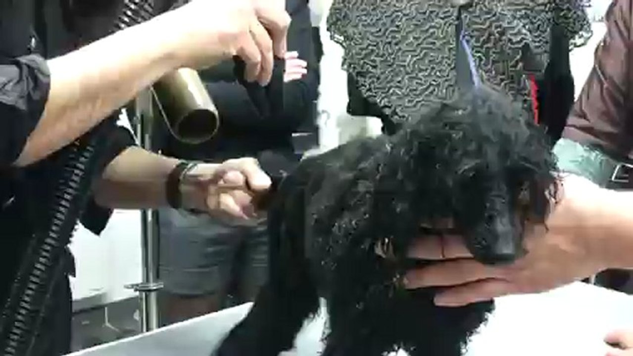 brushing