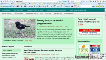 Cara Analisis Backlink Pesaing dengan Majestic SEO