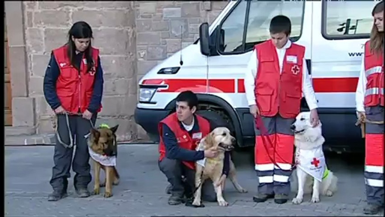 TV3 - Divendres - Gossos al rescat!