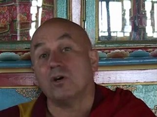 Pourquoi l'amour et la compassion doivent ils