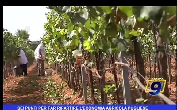 Sei punti per far ripartire l'economia agricola pugliese