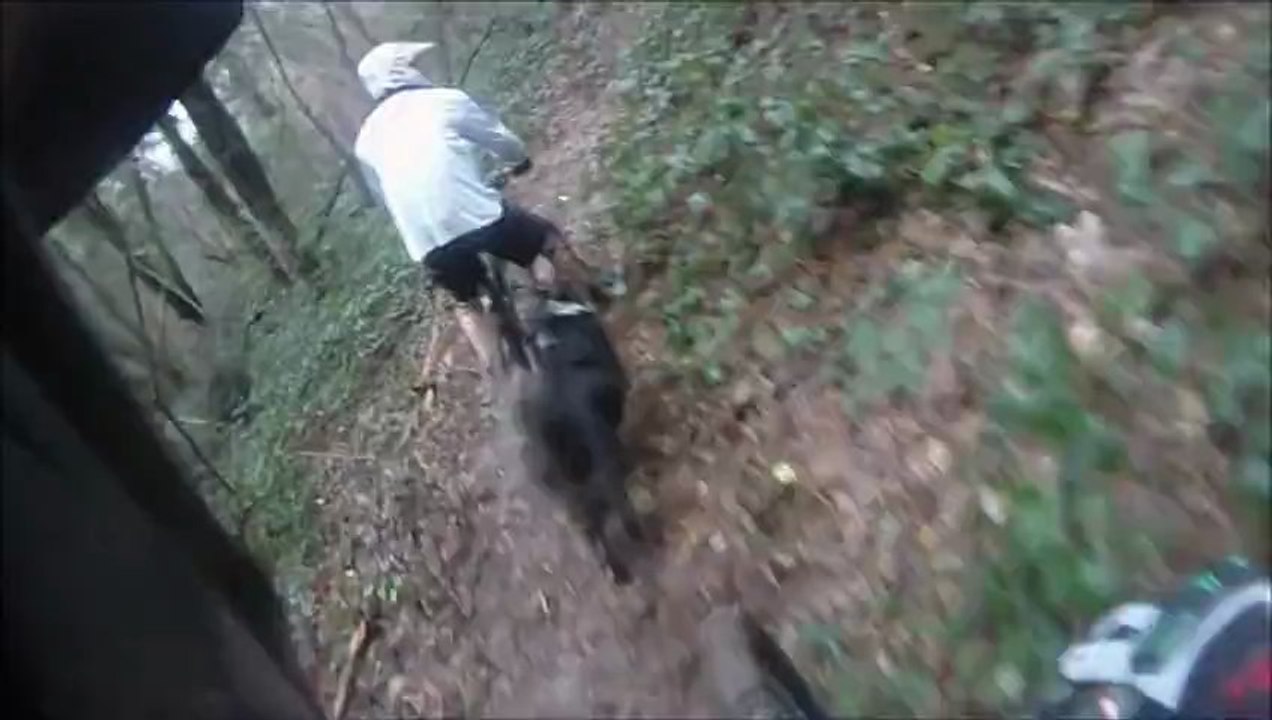 FREERIDE VTT DU COTE DE ERGUE GABERIC