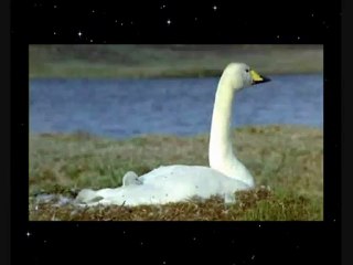 Отличие веры от религии