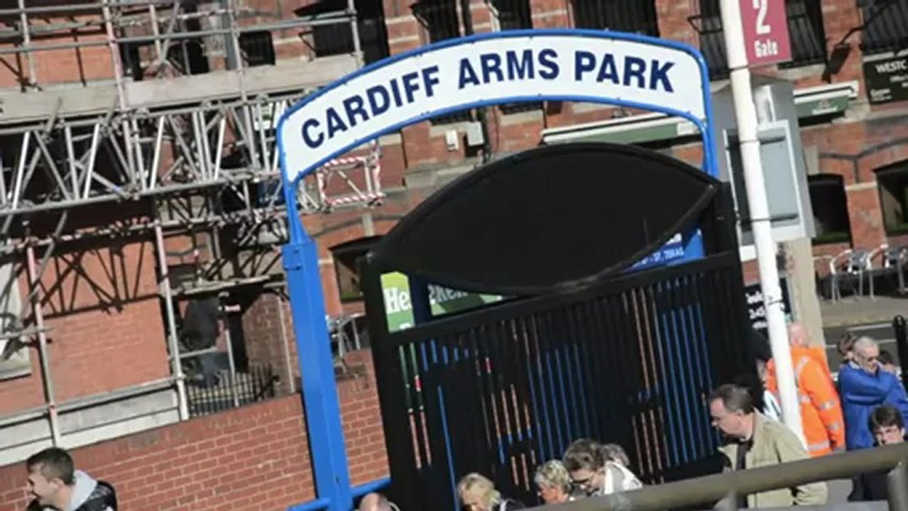 Interview Supporters après Cardiff vs Toulon