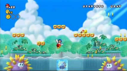 New Super Mario Bros. Wii - Monde 4 : Niveau 4-3