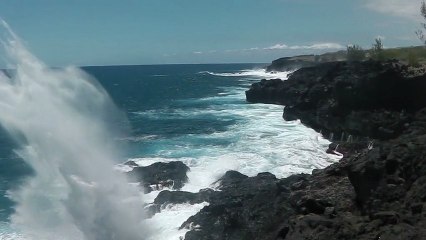 Reunion 2012/13  [2/2]