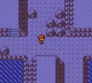 Walkthrough Pokemon version Or (4): La route vers Ecorcia et le puits Ramoloss