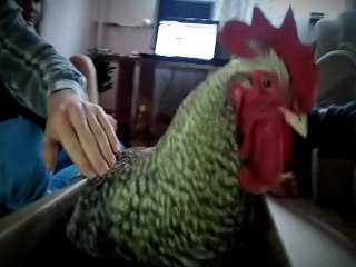 Last night | unified