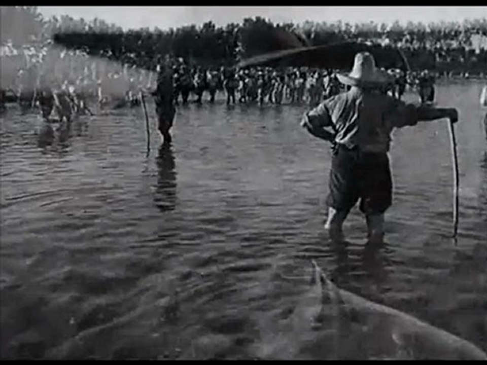 Silvana Mangano. Riso Amaro Canto Delle Mondine. by Giuseppe INFANTINO