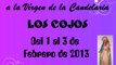 Fiestas en Honor a la Vírgen de la Candelaria - Los Cojos 2013
