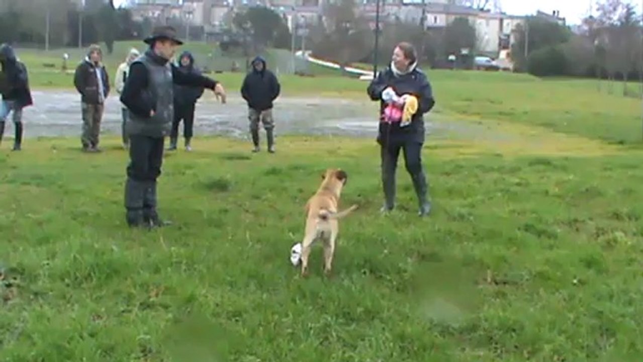 entrainement de recherche utilitaire débourrage ( 1 er test)