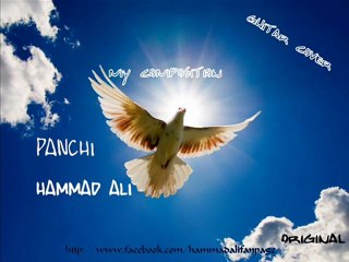 Panchi Hammad Ali (ORG SONG)
