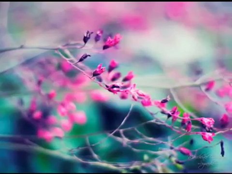 Yavuz Bingöl - Haberin Var Mı