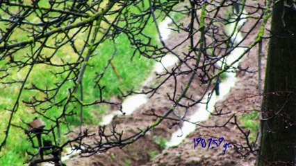 Treviso 02/02/2013 pioggia battente