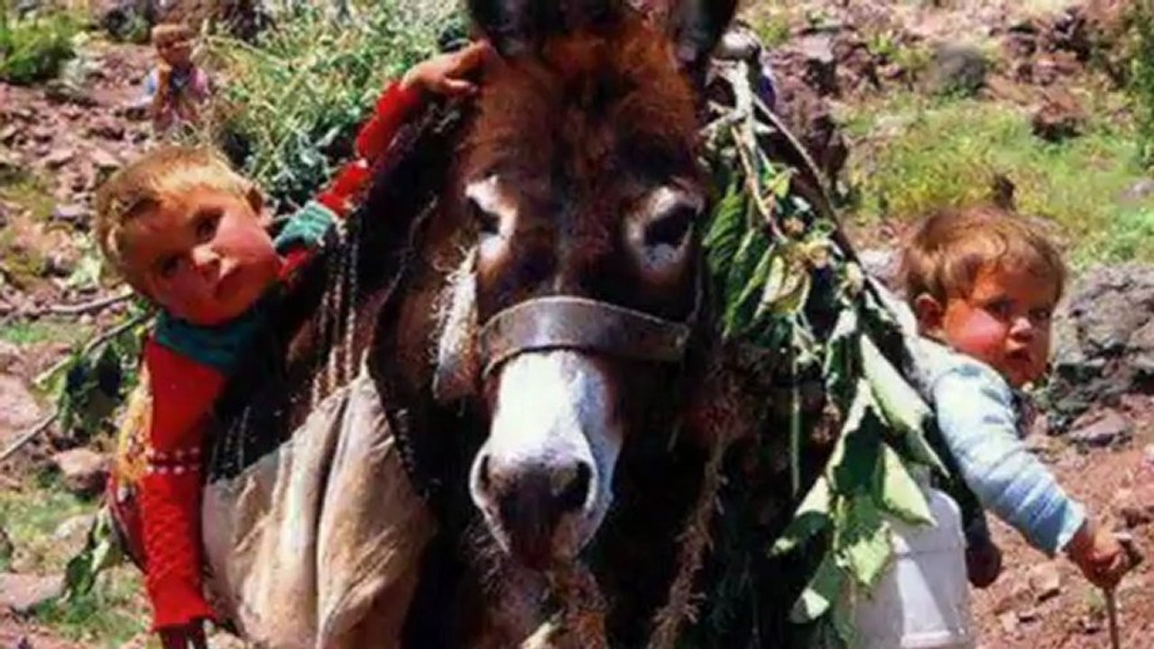 YUSUF HAYALOĞLU-NE FAYDA