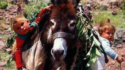 YUSUF HAYALOĞLU-NE FAYDA