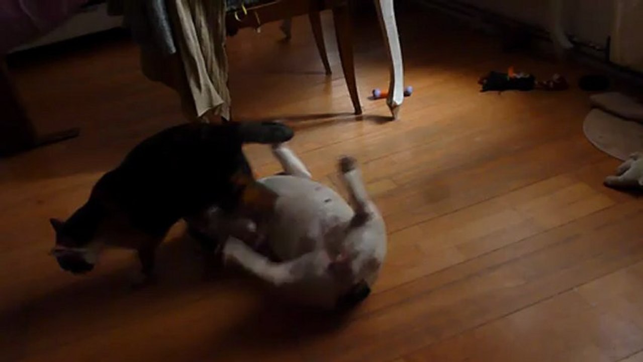 Colette Olga danse de la tendresse fév 2013