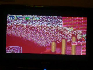 Castlevania Bonus 2- Catacomb et boss Optionnel 8min