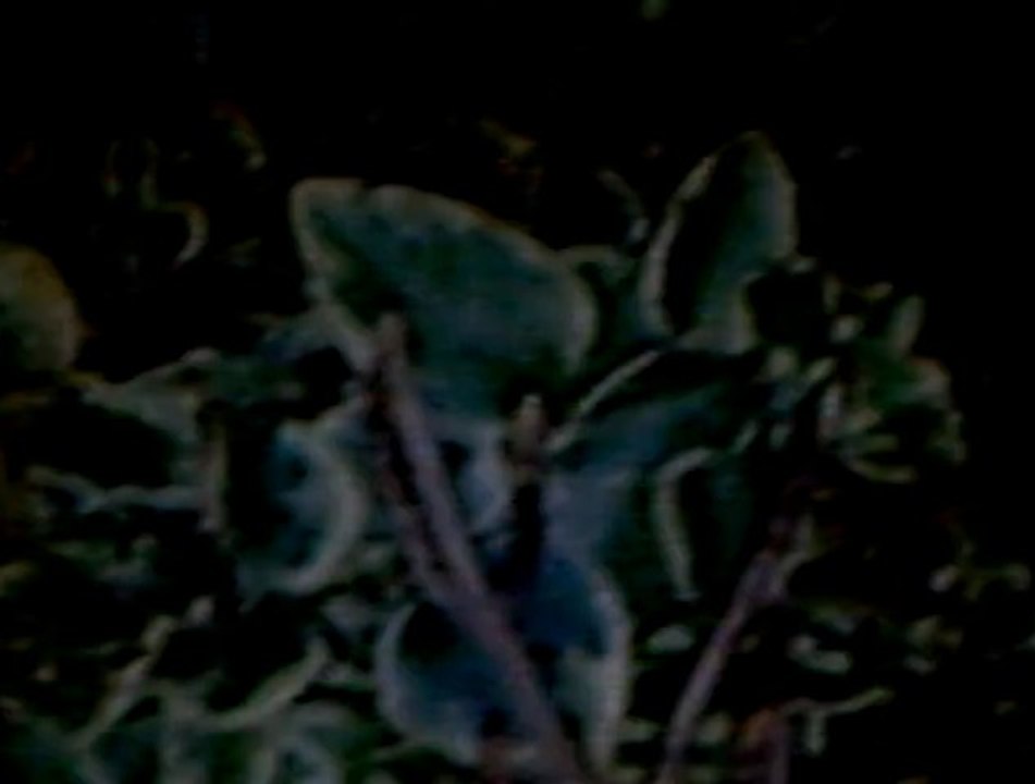 CLIP0513