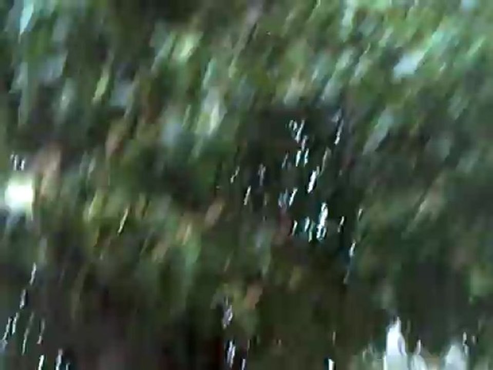 CLIP0526