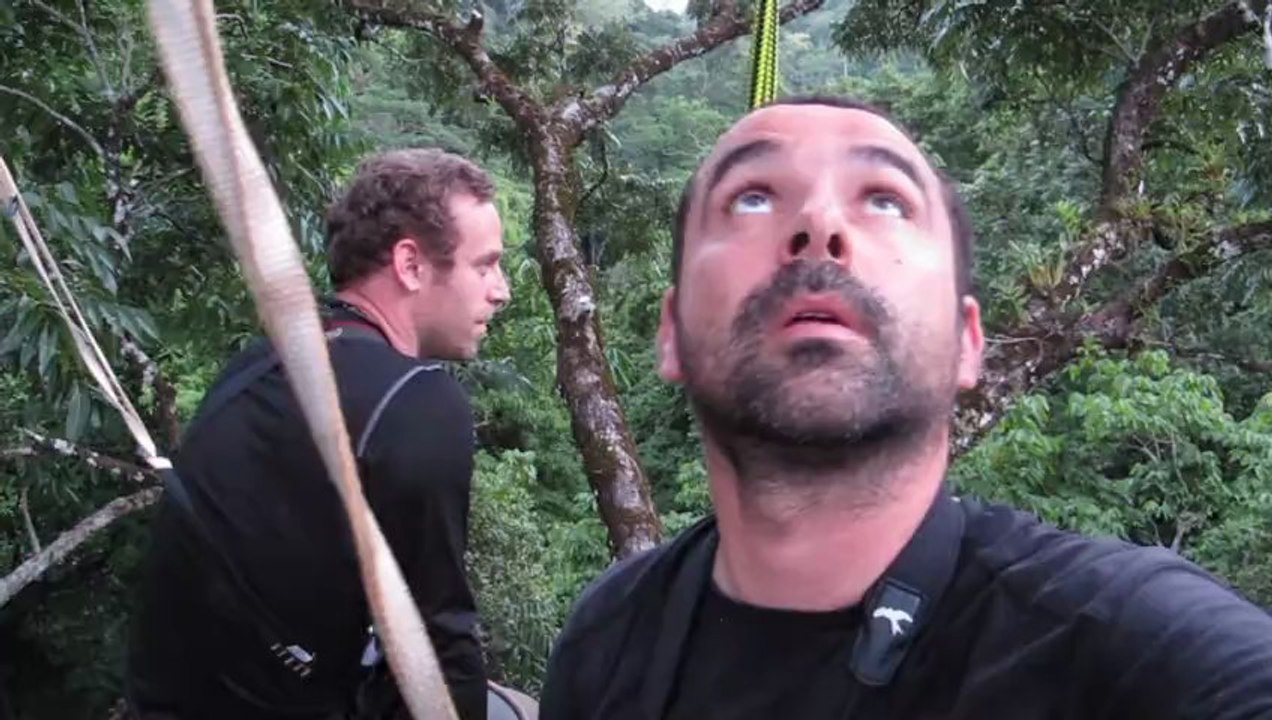 La canopée vue de Likos_Laos