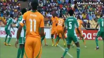أهداف مباراة كوتديفوار 1-2 نيجيريا - أمم أفريقيا 2013