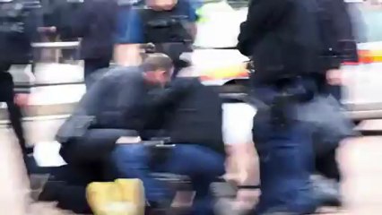 Knife wielding maniac at Buckingham Palace