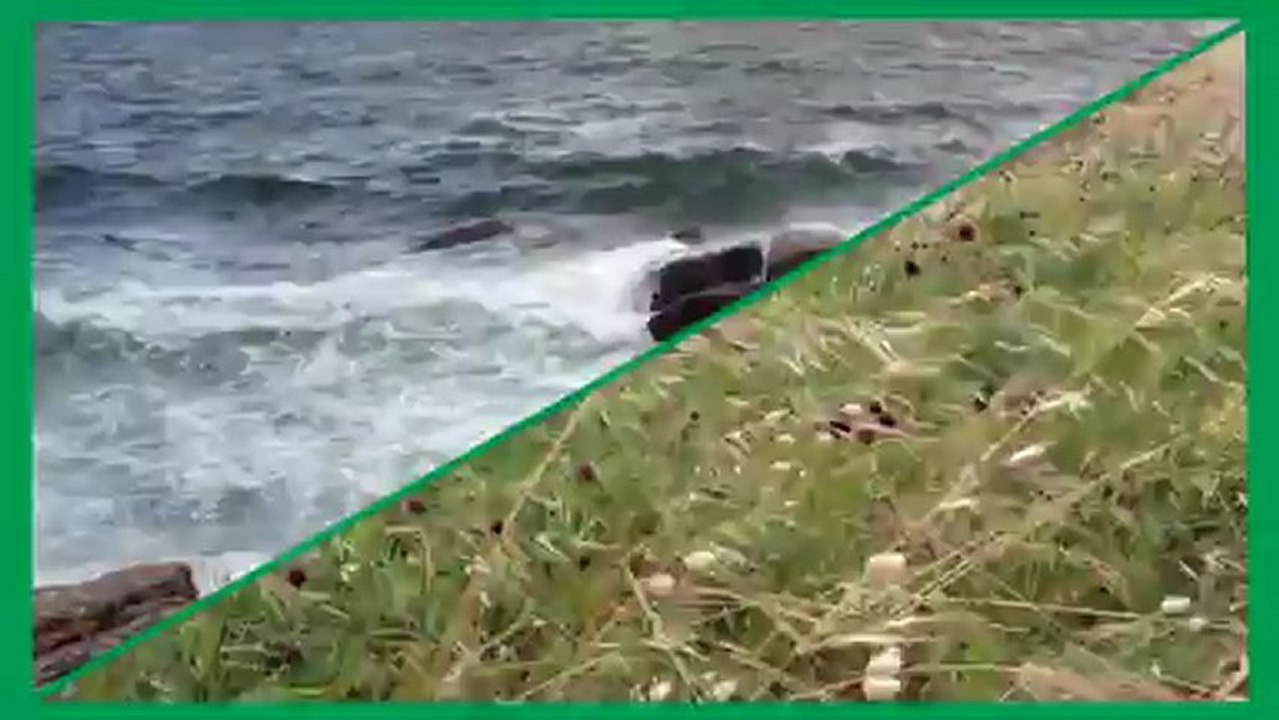 vagues-vent