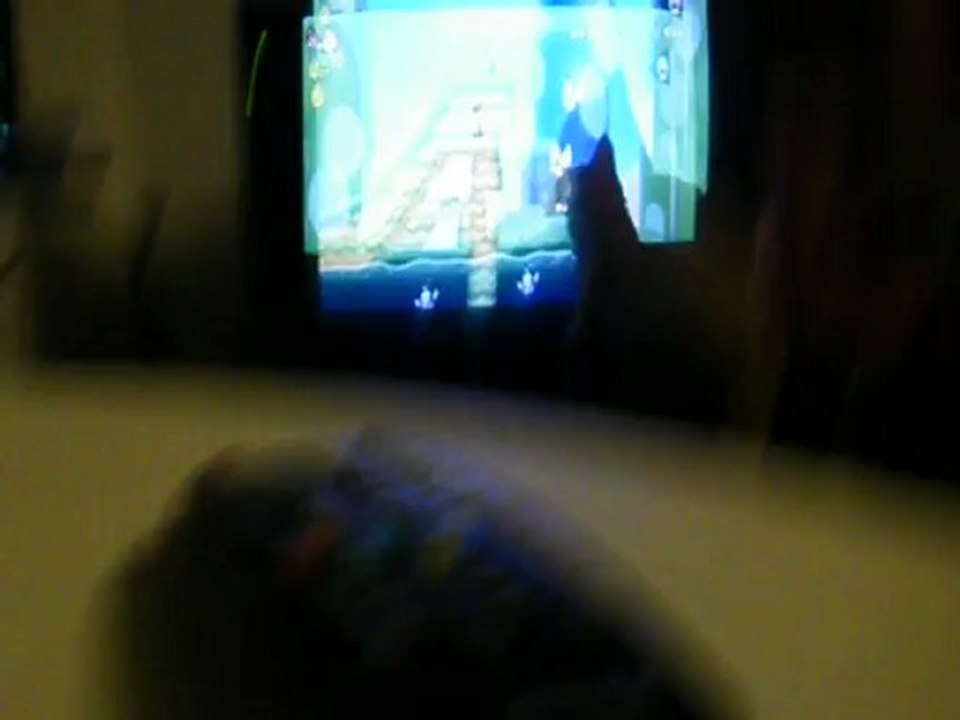 Farmer le chat qui aime Mario